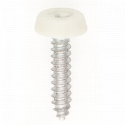 Image for White Fixed Head 1? Self Tapping Screw