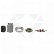 Carquest TPMS Service Pack Kit With Nut – Part 20015 – Tire Pressure Sensor Repair