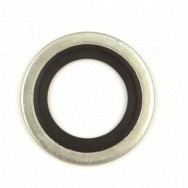 Image for Metric Dowty Washers - 20mm ID