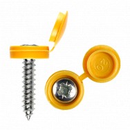 Image for Yellow Caps; Self Tapping Screws & Washers