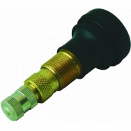 Image for Snap In TR618 Air & Water Valve