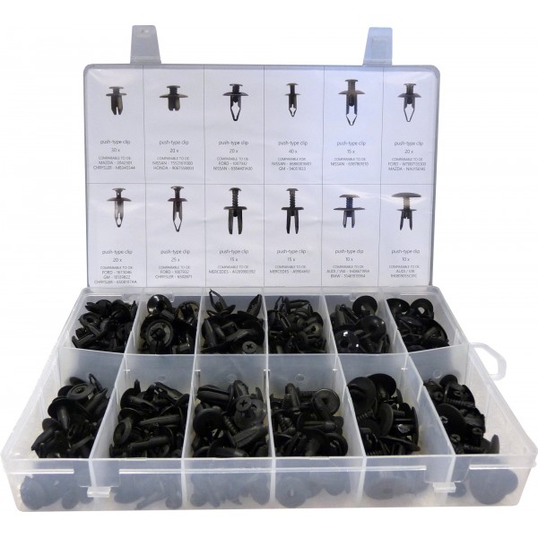240pc Screw Rivet Trim Fixing Assortment Autogem